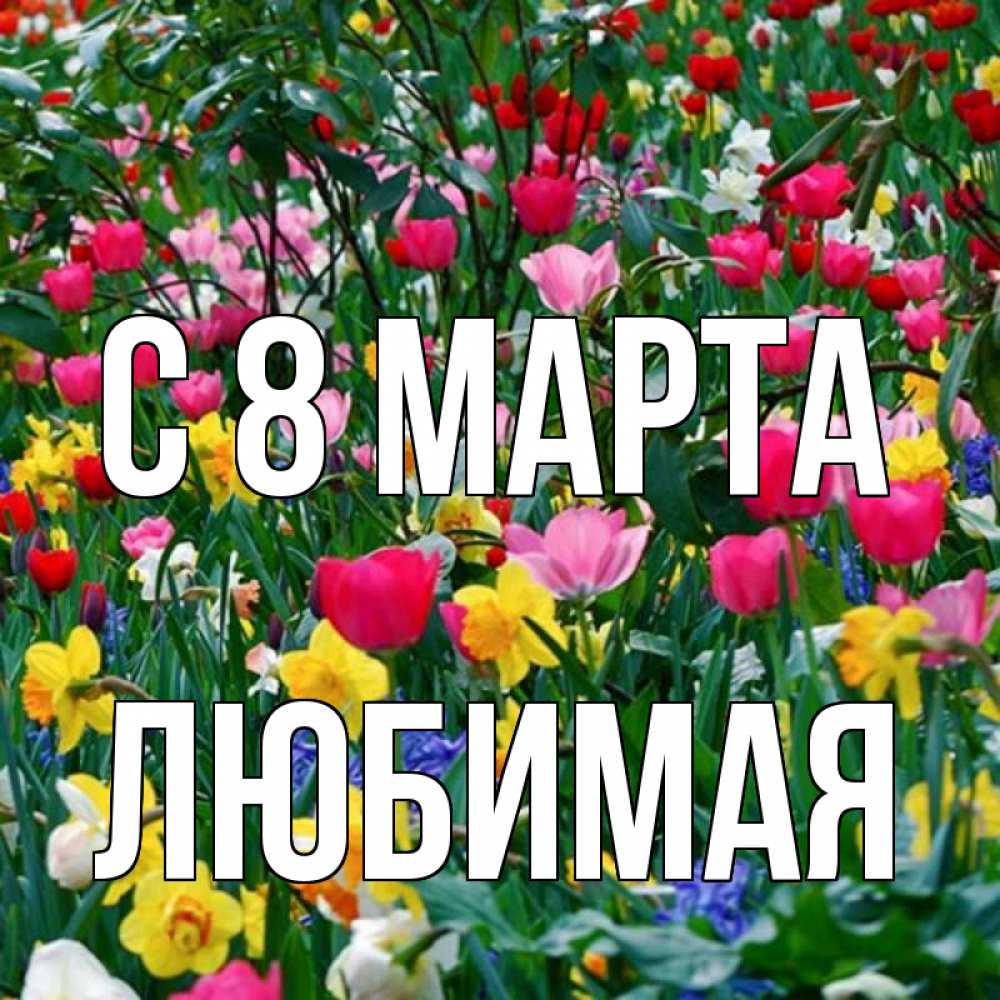 Открытка на каждый день с именем, любимая С 8 марта с международным женским днем поздравления для женщины Прикольная открытка с пожеланием онлайн скачать бесплатно 