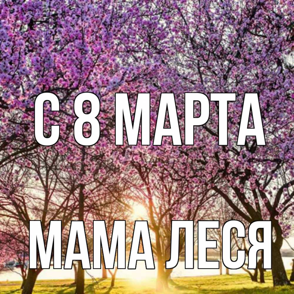 Открытка на каждый день с именем, Мама-Леся С 8 марта международный женский день Прикольная открытка с пожеланием онлайн скачать бесплатно 