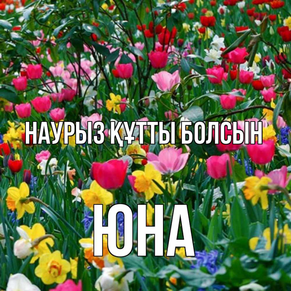 Открытка на каждый день с именем, Юна Наурыз құтты болсын с наурызом поздравления для женщины Прикольная открытка с пожеланием онлайн скачать бесплатно 