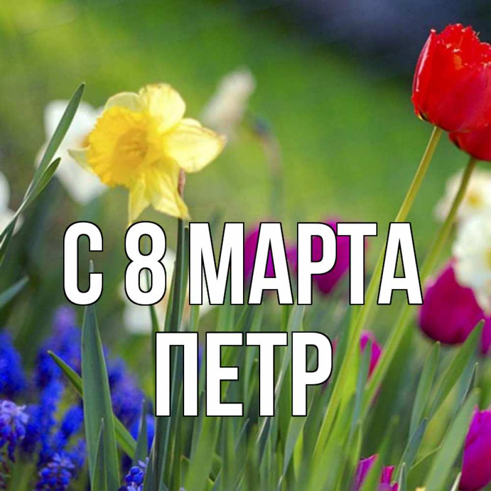 Открытка на каждый день с именем, Петр С 8 МАРТА международный женский день 3 Прикольная открытка с пожеланием онлайн скачать бесплатно 