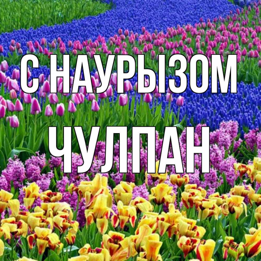 Открытка на каждый день с именем, Чулпан С наурызом цветы Прикольная открытка с пожеланием онлайн скачать бесплатно 