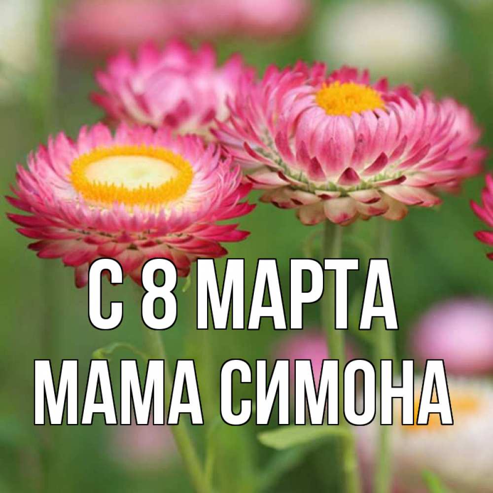 Открытка на каждый день с именем, Мама-Симона С 8 МАРТА подарок на международный женский день Прикольная открытка с пожеланием онлайн скачать бесплатно 