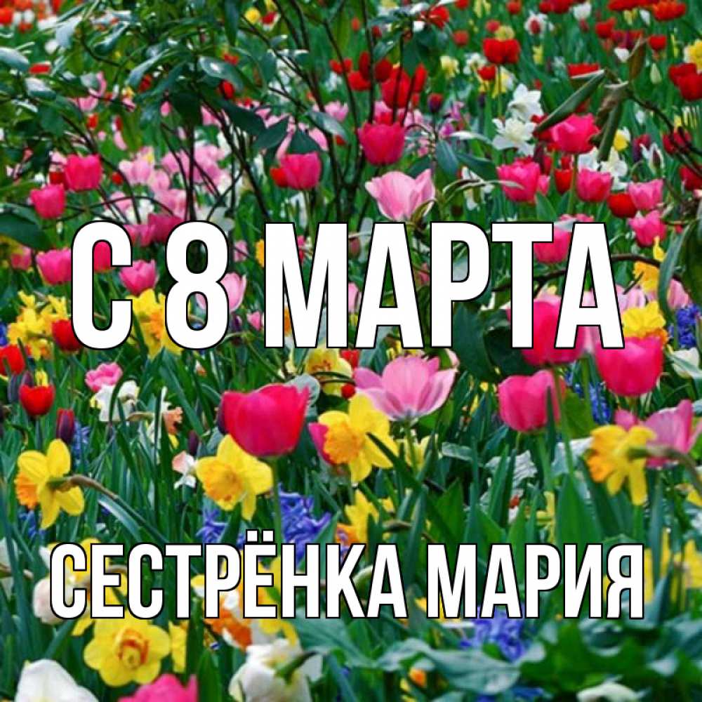 Открытка на каждый день с именем, Сестрёнка-Мария С 8 МАРТА с международным женским днем поздравления для женщины Прикольная открытка с пожеланием онлайн скачать бесплатно 