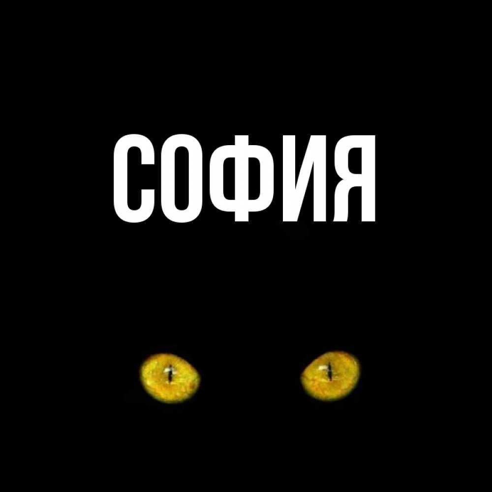 Открытка на каждый день с именем, София Главная сладких снов бесстрашный мой дружочек Прикольная открытка с пожеланием онлайн скачать бесплатно 