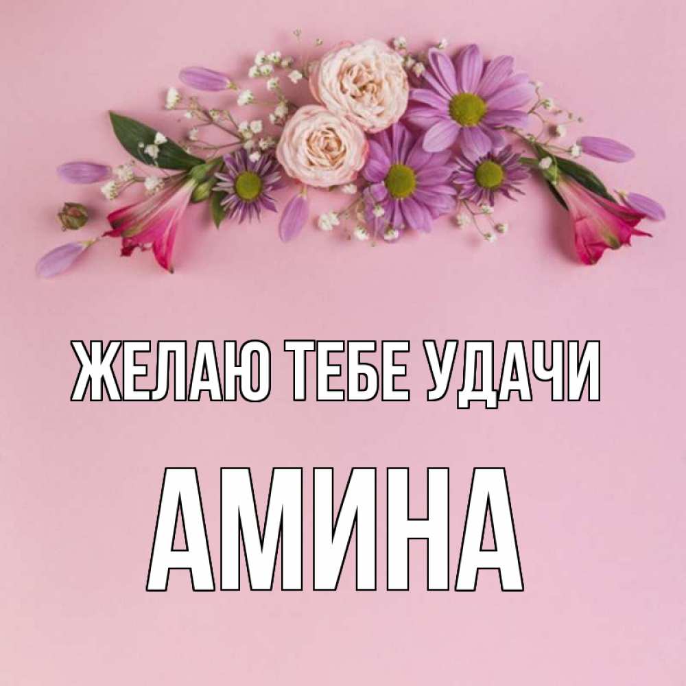 Картина с именем амина