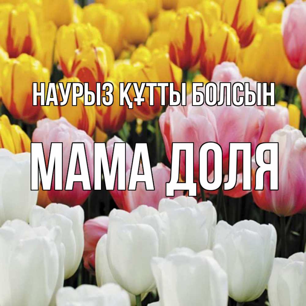 Открытка на каждый день с именем, Мама-Доля Наурыз құтты болсын разноцветные цветы Прикольная открытка с пожеланием онлайн скачать бесплатно 