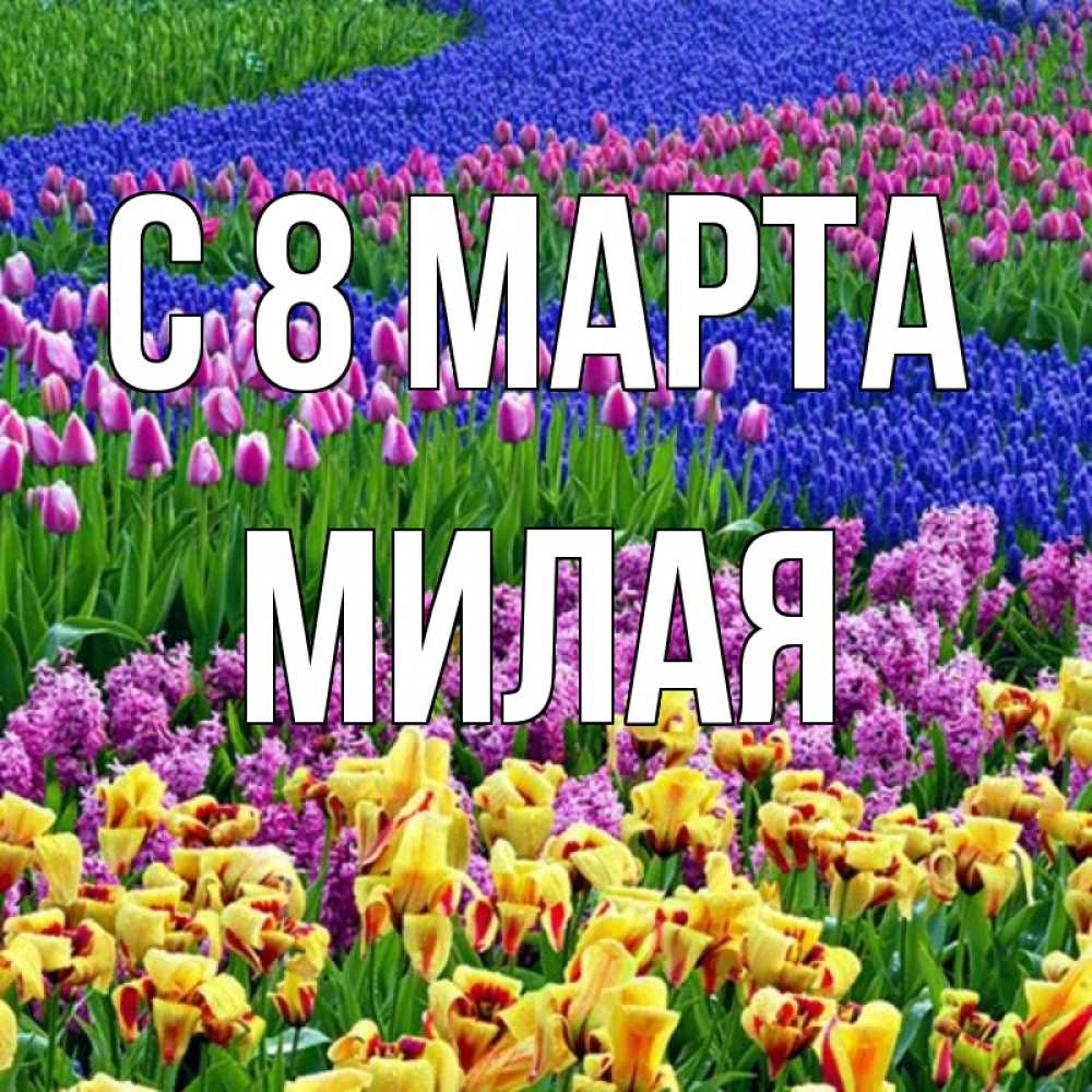 Открытка на каждый день с именем, Милая С 8 МАРТА цветы Прикольная открытка с пожеланием онлайн скачать бесплатно 