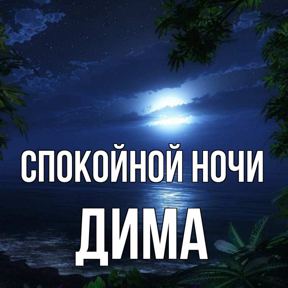 Спокойной ночи дашенька картинки