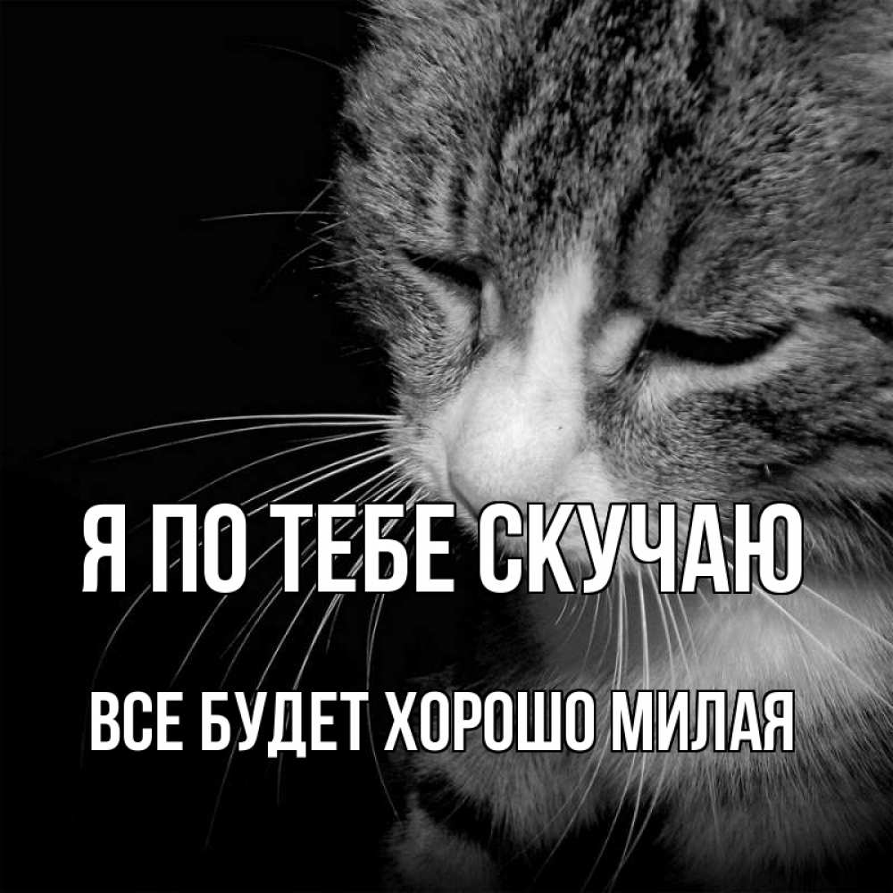Картинки ты скучаешь обо мне, смешные