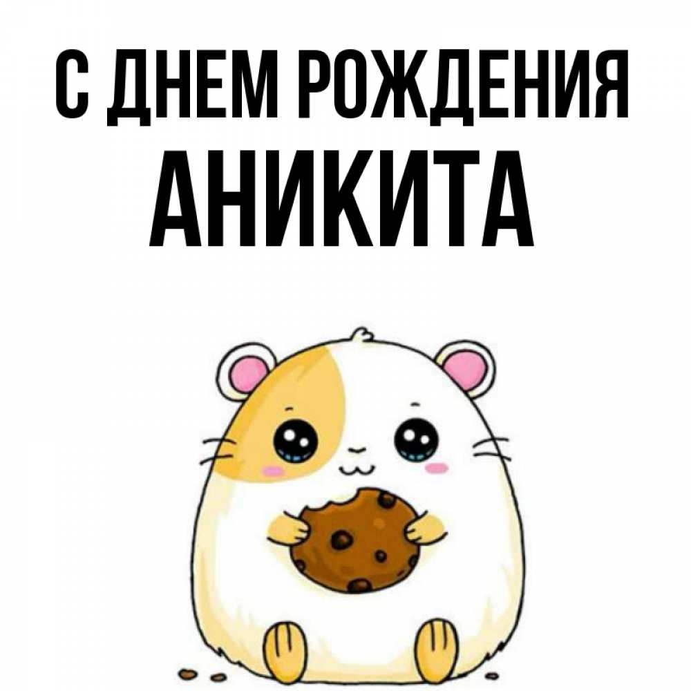 Открытка на каждый день с именем, Аникита С днем рождения с днюхой Прикольная открытка с пожеланием онлайн скачать бесплатно 