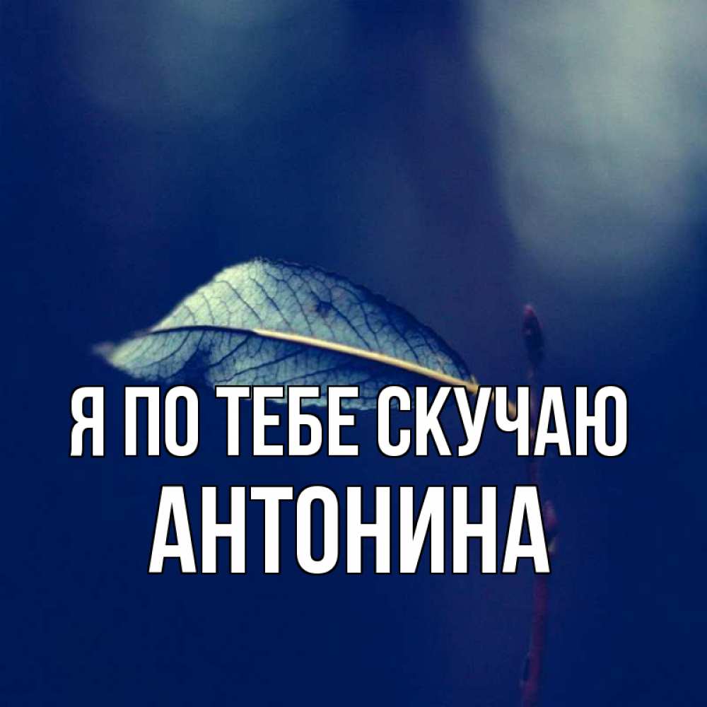 Открытка на каждый день с именем, Антонина Я по тебе скучаю одна ветка 1 Прикольная открытка с пожеланием онлайн скачать бесплатно 
