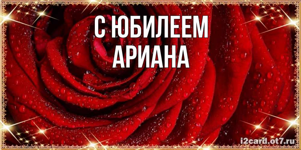 Открытка на каждый день с именем, Ариана С юбилеем роса на розе блестящая в лучах солнца Прикольная открытка с пожеланием онлайн скачать бесплатно 
