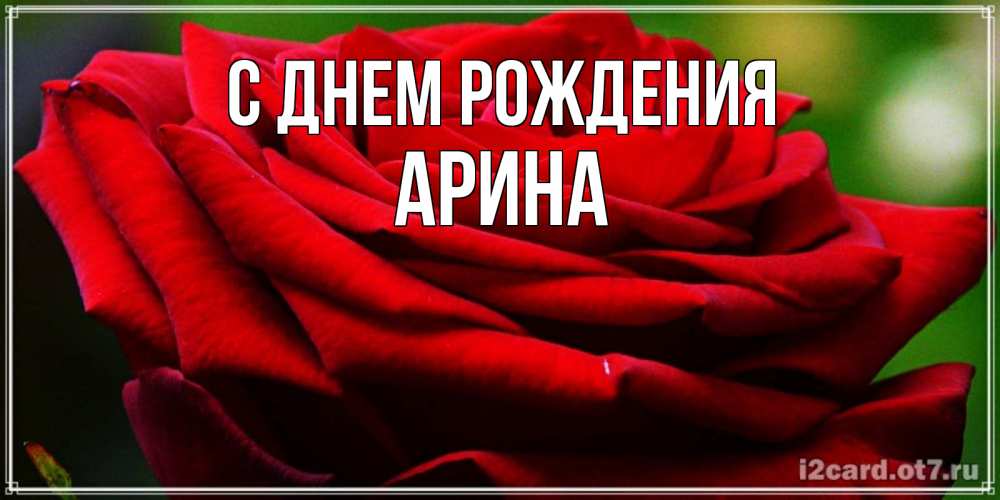 Открытка на каждый день с именем, Арина С днем рождения розочка очень красивая Прикольная открытка с пожеланием онлайн скачать бесплатно 