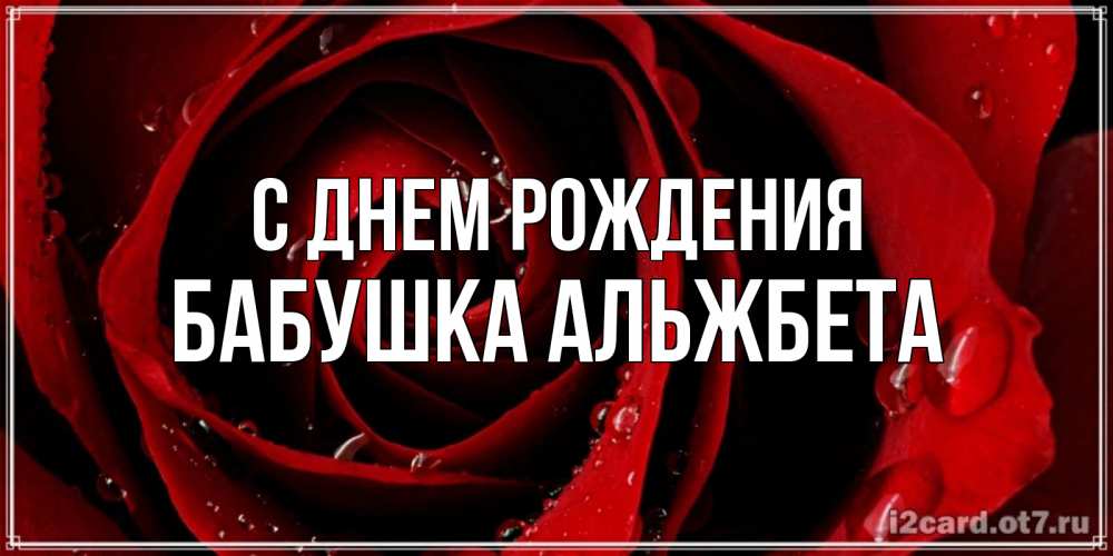 Открытка на каждый день с именем, Бабушка-Альжбета С днем рождения крупная бордовая роза Прикольная открытка с пожеланием онлайн скачать бесплатно 