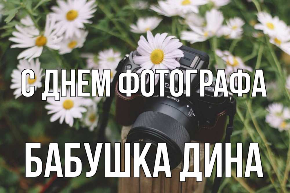 Открытка на каждый день с именем, Бабушка-Дина С днем фотографа с днем фотографа Прикольная открытка с пожеланием онлайн скачать бесплатно 