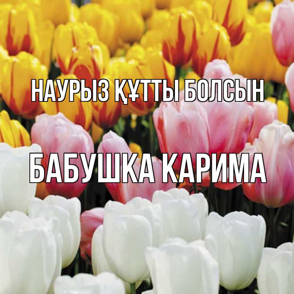 Открытка на каждый день с именем, Бабушка-Карима Наурыз құтты болсын разноцветные цветы Прикольная открытка с пожеланием онлайн скачать бесплатно 