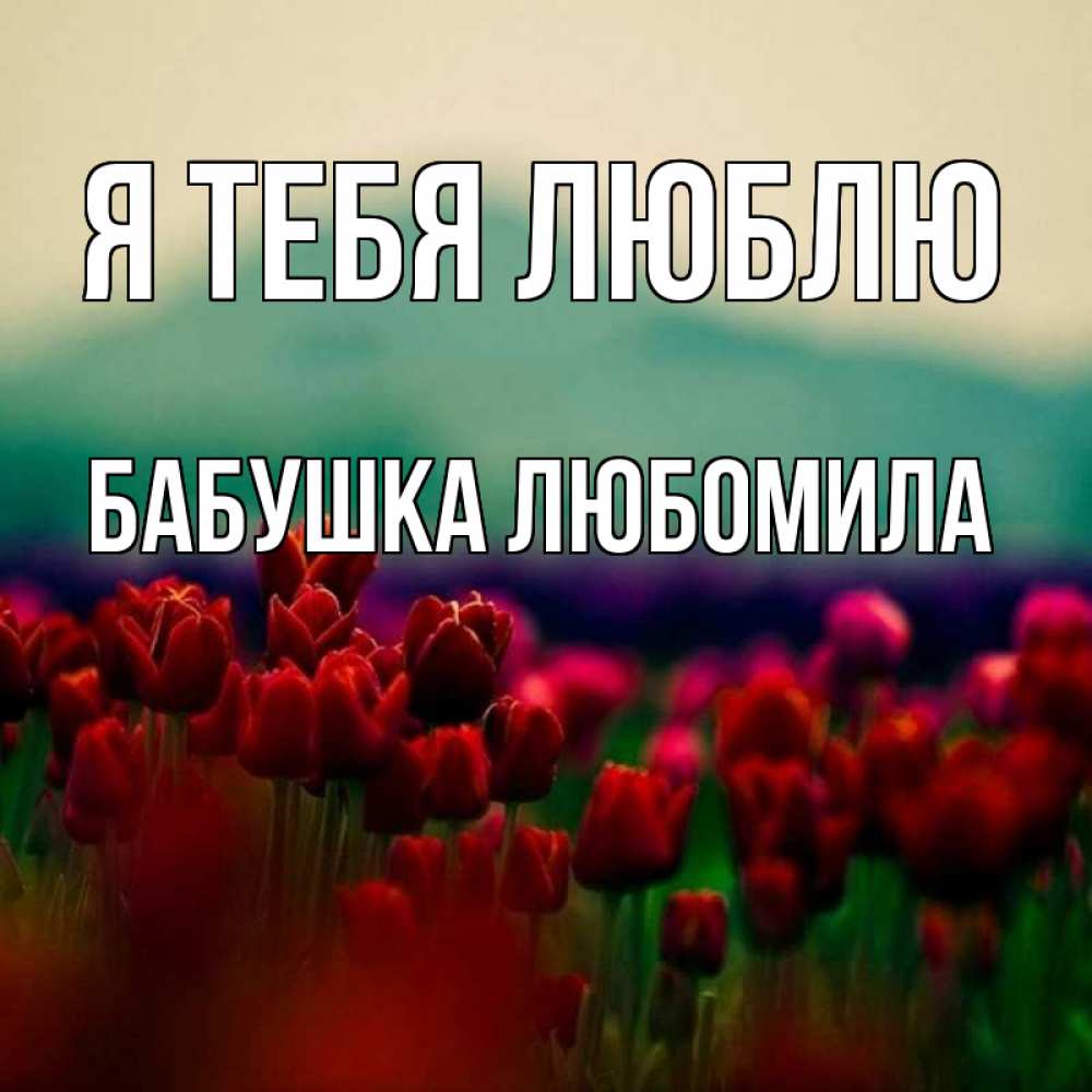 Открытка на каждый день с именем, Бабушка-Любомила Я тебя люблю тюльпаны 4 Прикольная открытка с пожеланием онлайн скачать бесплатно 