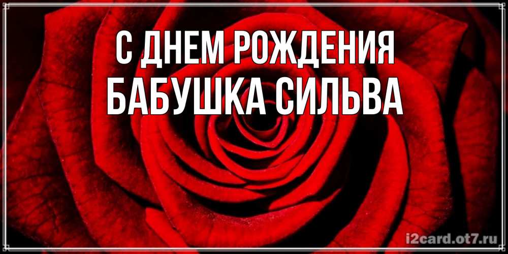 Открытка на каждый день с именем, Бабушка-Сильва С днем рождения алая роза Прикольная открытка с пожеланием онлайн скачать бесплатно 