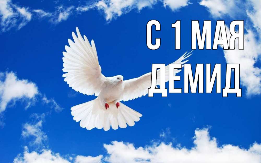Открытка на каждый день с именем, Демид С 1 мая С 1 мая 1 Прикольная открытка с пожеланием онлайн скачать бесплатно 