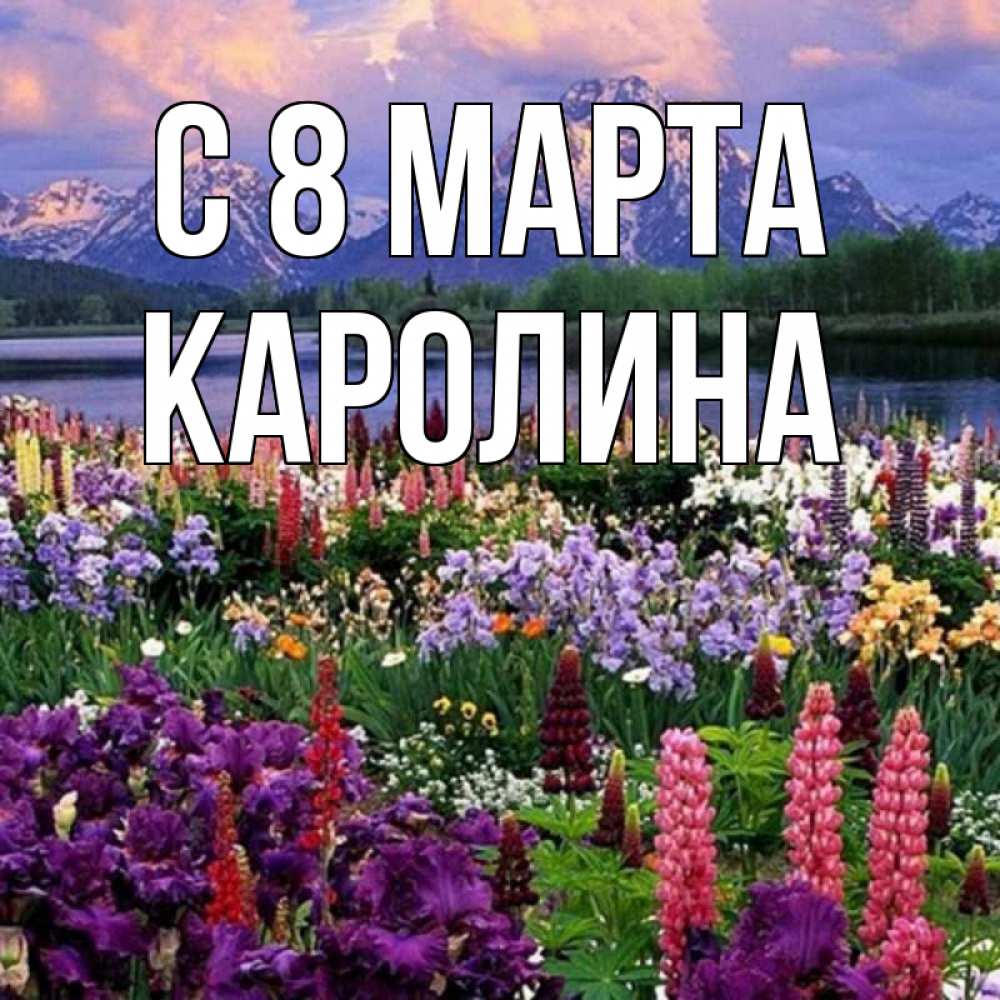 Открытка на каждый день с именем, Каролина С 8 МАРТА международный женский день Прикольная открытка с пожеланием онлайн скачать бесплатно 