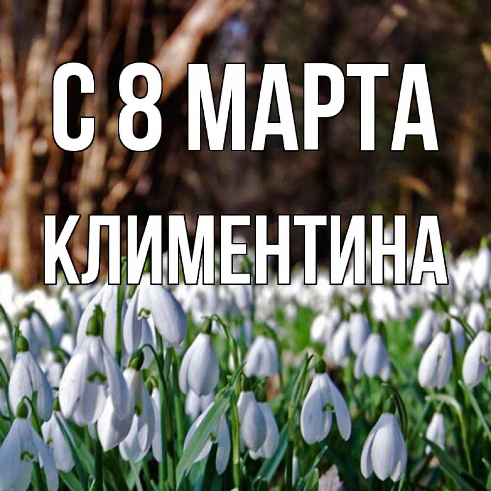 Открытка на каждый день с именем, Климентина С 8 МАРТА с подснежниками 1 Прикольная открытка с пожеланием онлайн скачать бесплатно 