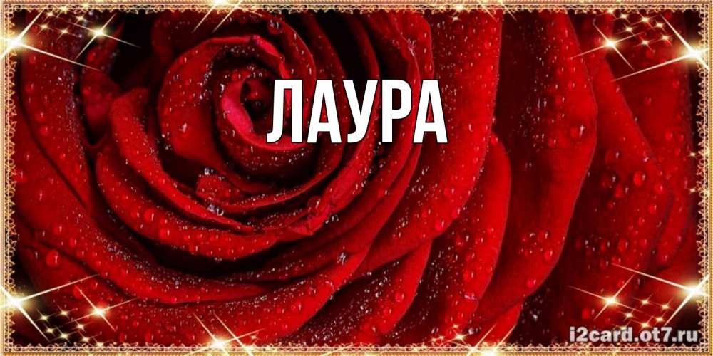 Открытка на каждый день с именем, Лаура Главная роса на розе блестящая в лучах солнца Прикольная открытка с пожеланием онлайн скачать бесплатно 