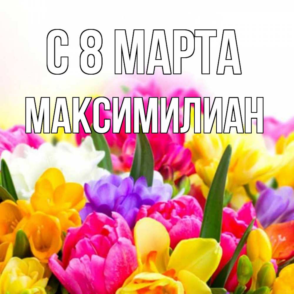 Открытка на каждый день с именем, Максимилиан С 8 МАРТА тюльпаны Прикольная открытка с пожеланием онлайн скачать бесплатно 