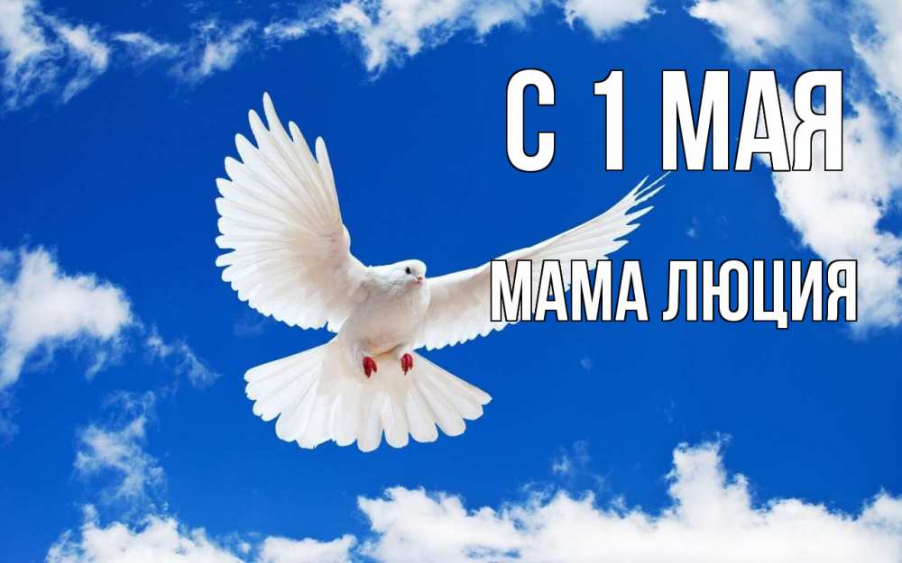 Открытка на каждый день с именем, Мама-Люция С 1 мая С 1 мая 1 Прикольная открытка с пожеланием онлайн скачать бесплатно 