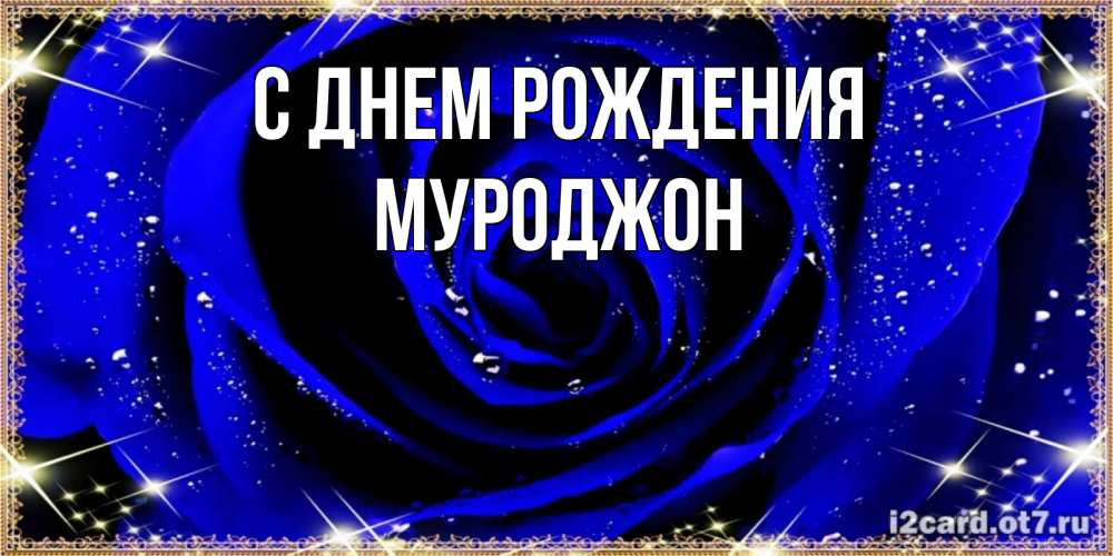 Открытка на каждый день с именем, Муроджон С днем рождения голубые цветы в росе Прикольная открытка с пожеланием онлайн скачать бесплатно 