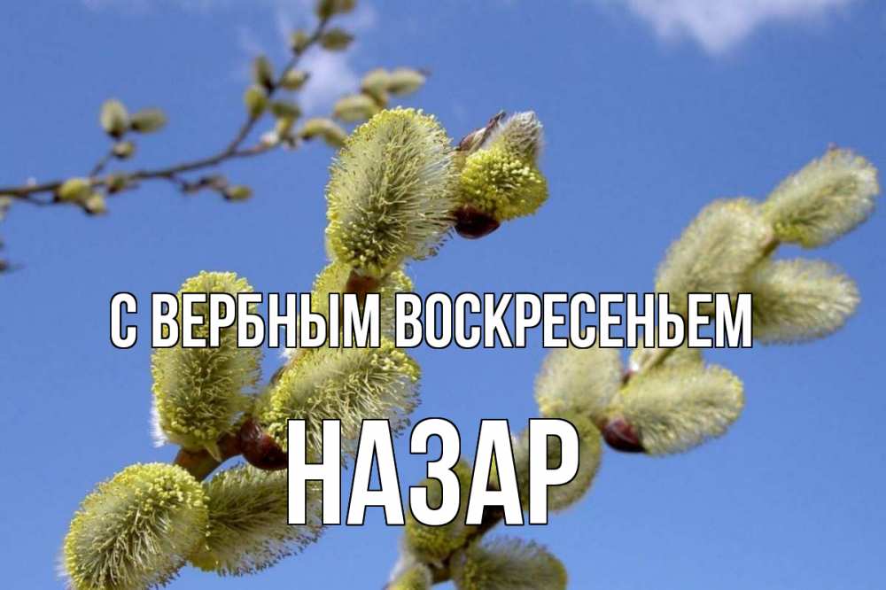 Открытка на каждый день с именем, Назар С вербным воскресеньем верба Прикольная открытка с пожеланием онлайн скачать бесплатно 