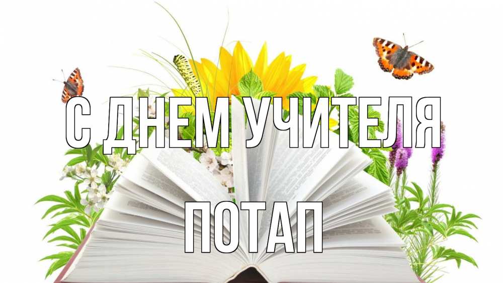 Открытка на каждый день с именем, Потап С днем учителя с днем учителя Прикольная открытка с пожеланием онлайн скачать бесплатно 
