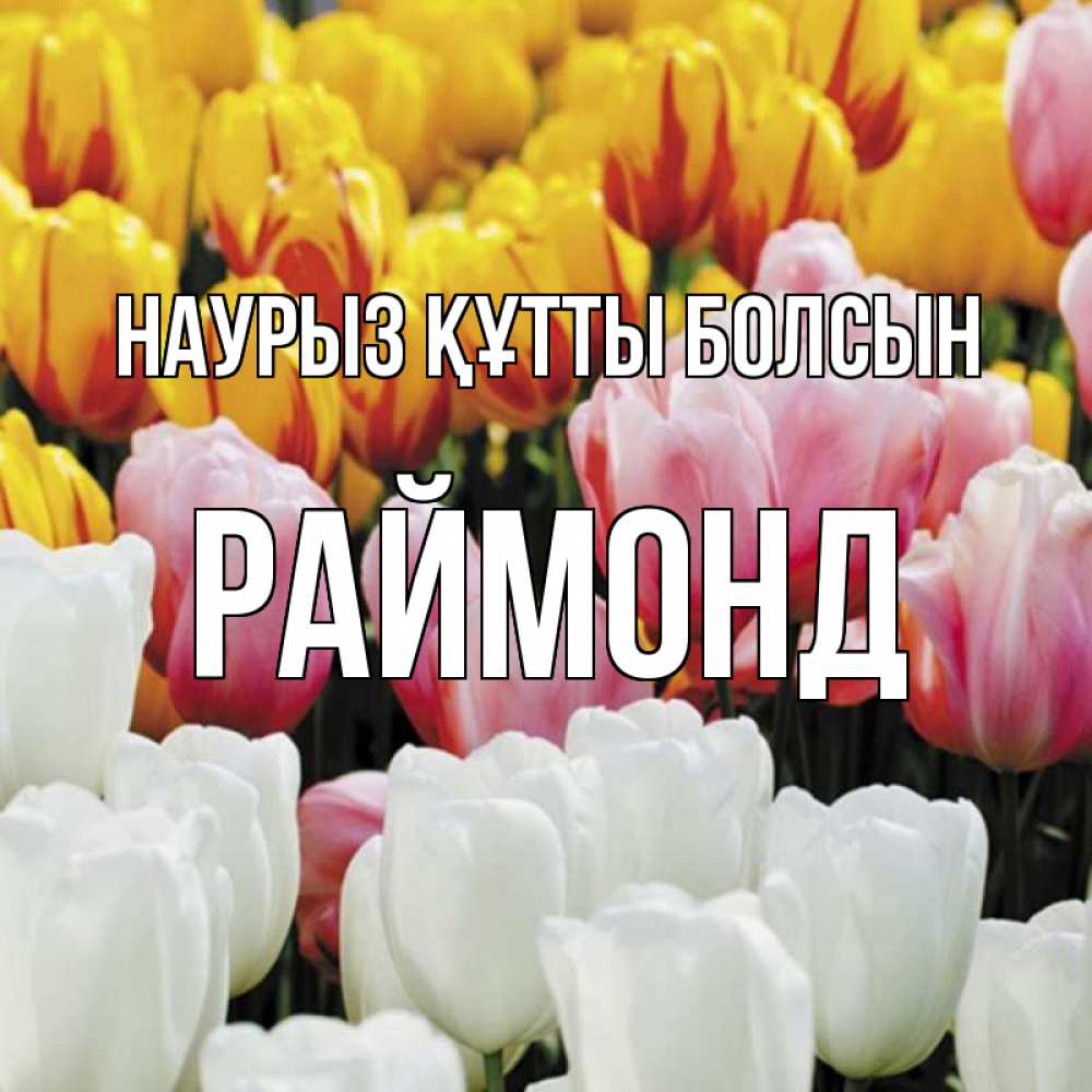 Открытка на каждый день с именем, Раймонд Наурыз құтты болсын разноцветные цветы Прикольная открытка с пожеланием онлайн скачать бесплатно 