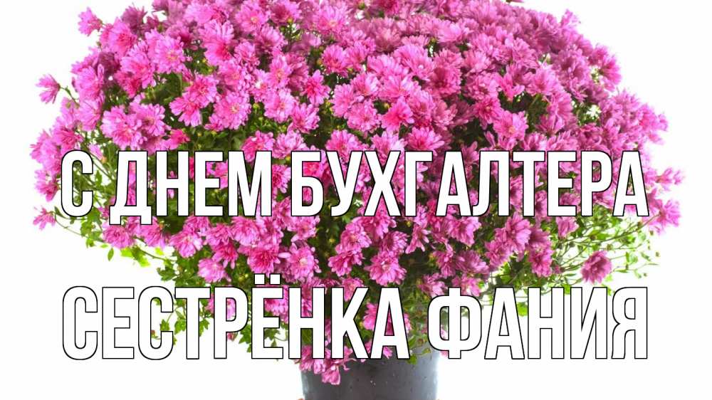Открытка на каждый день с именем, Сестрёнка-Фания С днем бухгалтера с днем бухгалтера Прикольная открытка с пожеланием онлайн скачать бесплатно 