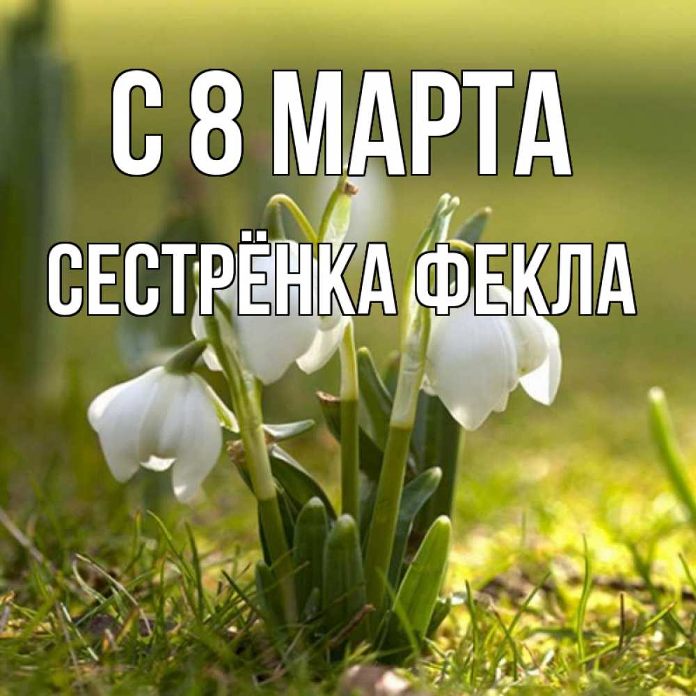 Открытка на каждый день с именем, Сестрёнка-Фекла С 8 марта ранние цветы 2 Прикольная открытка с пожеланием онлайн скачать бесплатно 