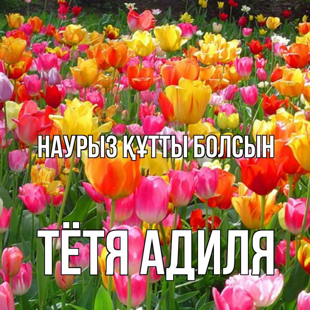 Открытка на каждый день с именем, Тётя-Адиля Наурыз құтты болсын на наурыз  ура ура Прикольная открытка с пожеланием онлайн скачать бесплатно 