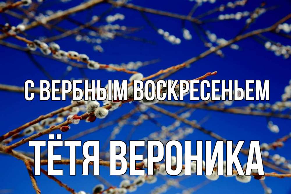 Открытка на каждый день с именем, Тётя-Вероника С вербным воскресеньем верба Прикольная открытка с пожеланием онлайн скачать бесплатно 