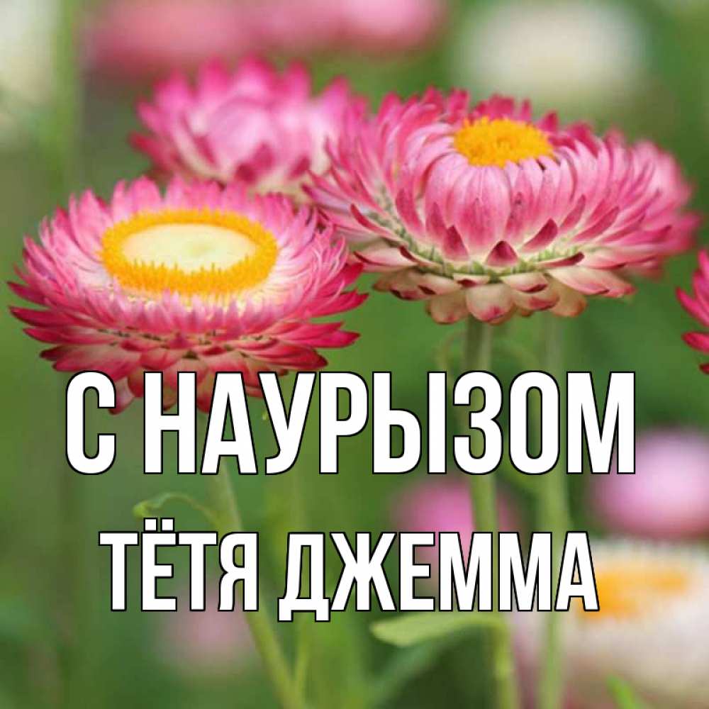 Открытка на каждый день с именем, Тётя-Джемма С наурызом подарок на международный женский день Прикольная открытка с пожеланием онлайн скачать бесплатно 