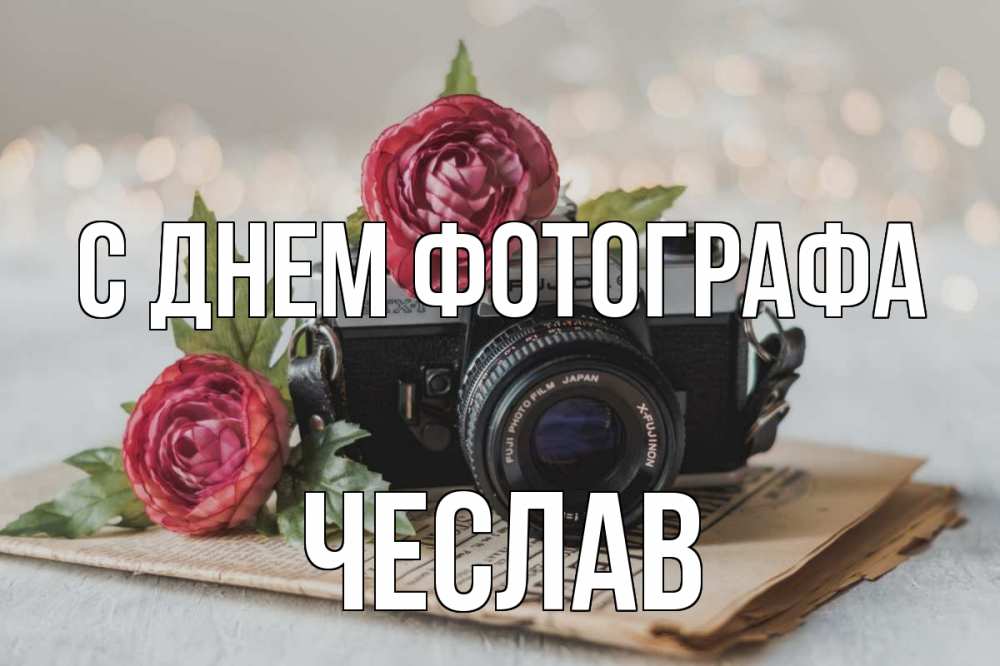 Открытка на каждый день с именем, Чеслав С днем фотографа с днем фотографа Прикольная открытка с пожеланием онлайн скачать бесплатно 