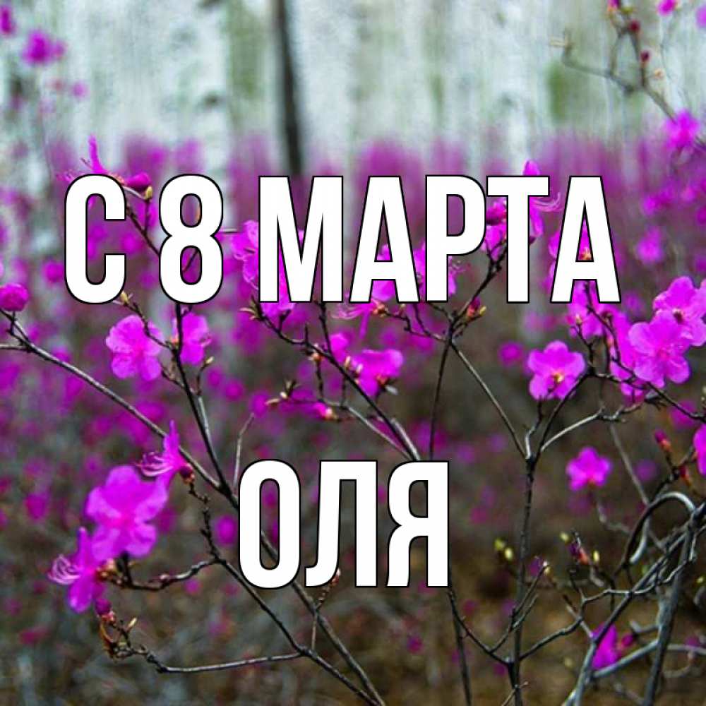 Открытка на каждый день с именем, оля С 8 МАРТА дикие цветы Прикольная открытка с пожеланием онлайн скачать бесплатно 
