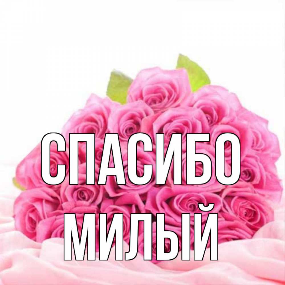 Спасибо милая и вам. Спасибо милая и вам