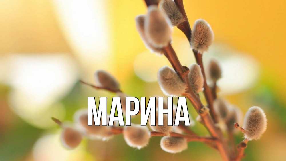Открытка на каждый день с именем, Марина Главная верба 1 Прикольная открытка с пожеланием онлайн скачать бесплатно 