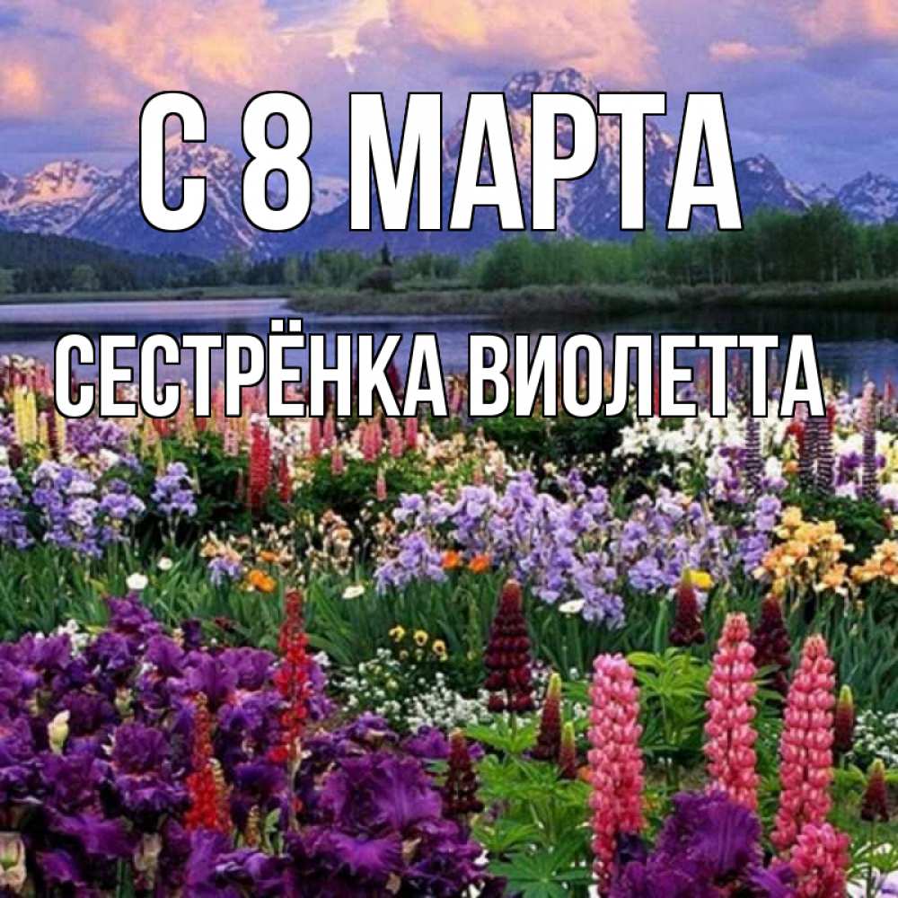 Открытка на каждый день с именем, Сестрёнка-Виолетта С 8 МАРТА международный женский день Прикольная открытка с пожеланием онлайн скачать бесплатно 