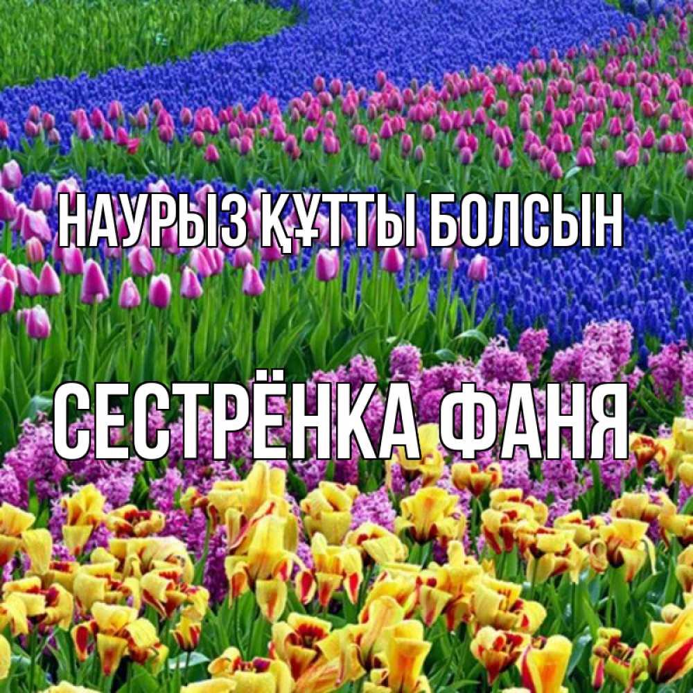 Открытка на каждый день с именем, Сестрёнка-Фаня Наурыз құтты болсын цветы Прикольная открытка с пожеланием онлайн скачать бесплатно 