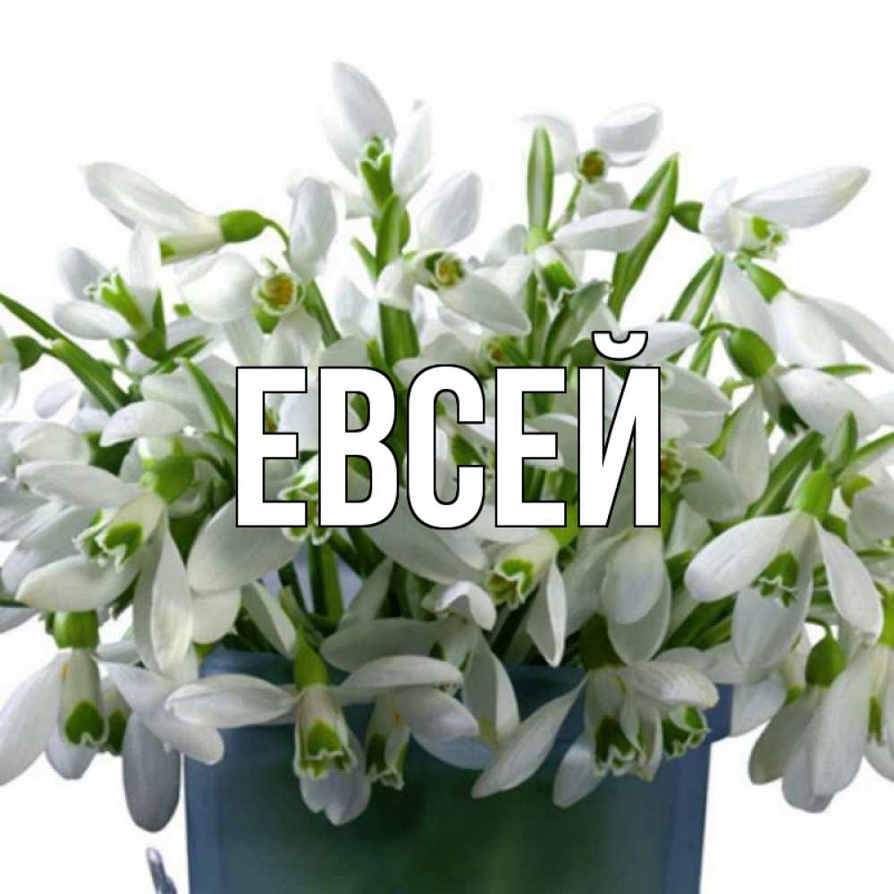 День евсея картинки