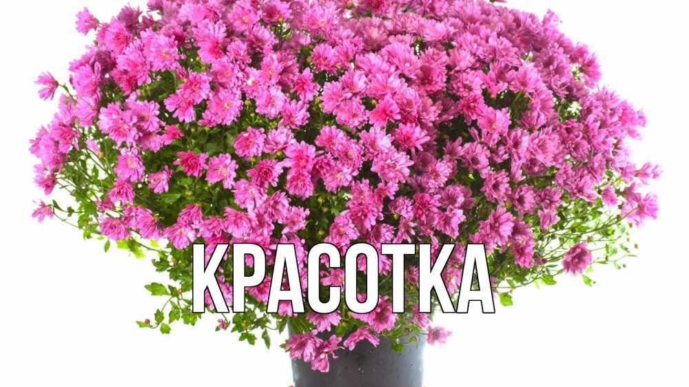 Картинка  с именем , красотка