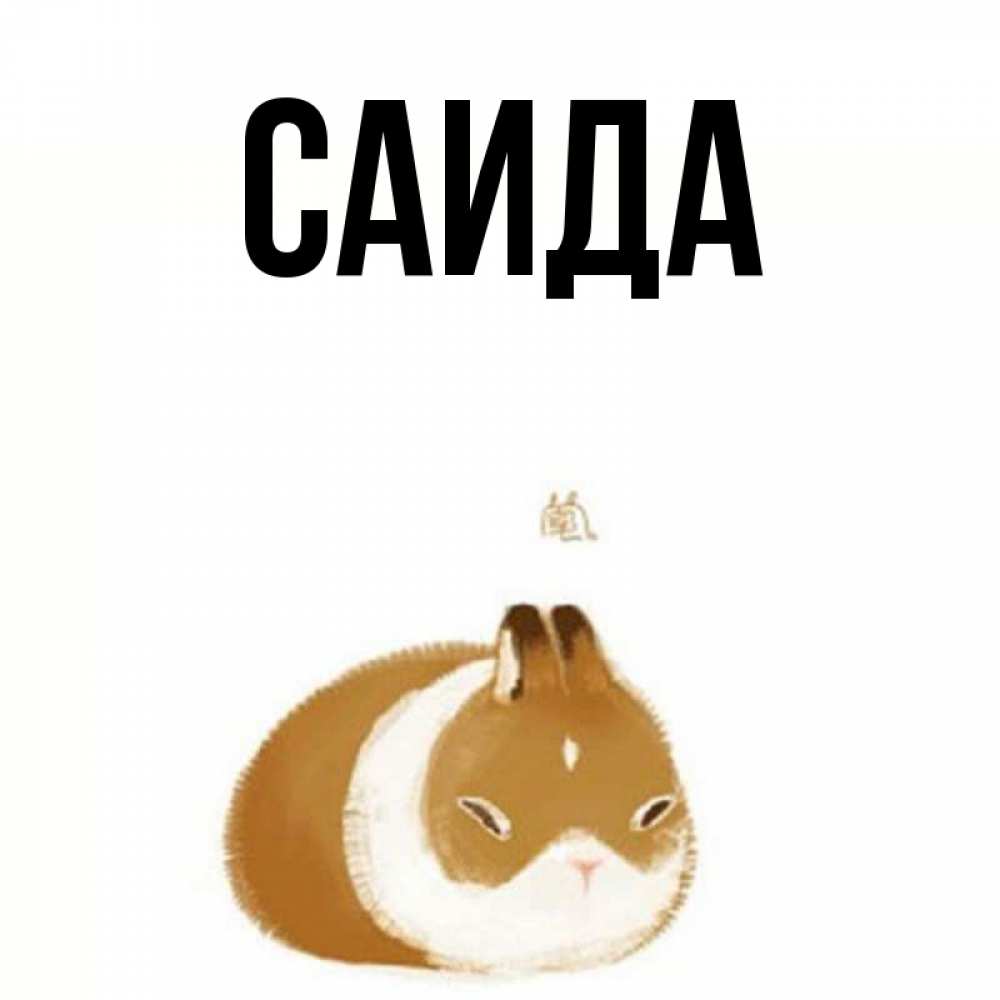 Имя саид