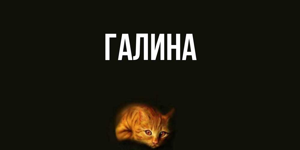 Открытка на каждый день с именем, Галина Главная кот Прикольная открытка с пожеланием онлайн скачать бесплатно 