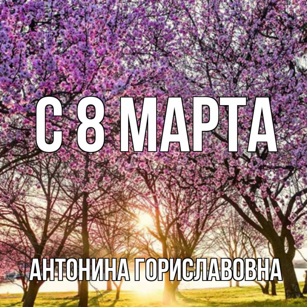 Открытка на каждый день с именем, Антонина-Гориславовна С 8 марта международный женский день Прикольная открытка с пожеланием онлайн скачать бесплатно 