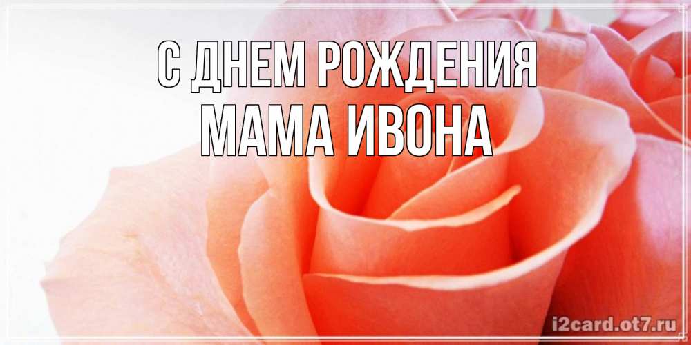 Открытка на каждый день с именем, Мама-Ивона С днем рождения розы для поздравления с днем рождения Прикольная открытка с пожеланием онлайн скачать бесплатно 