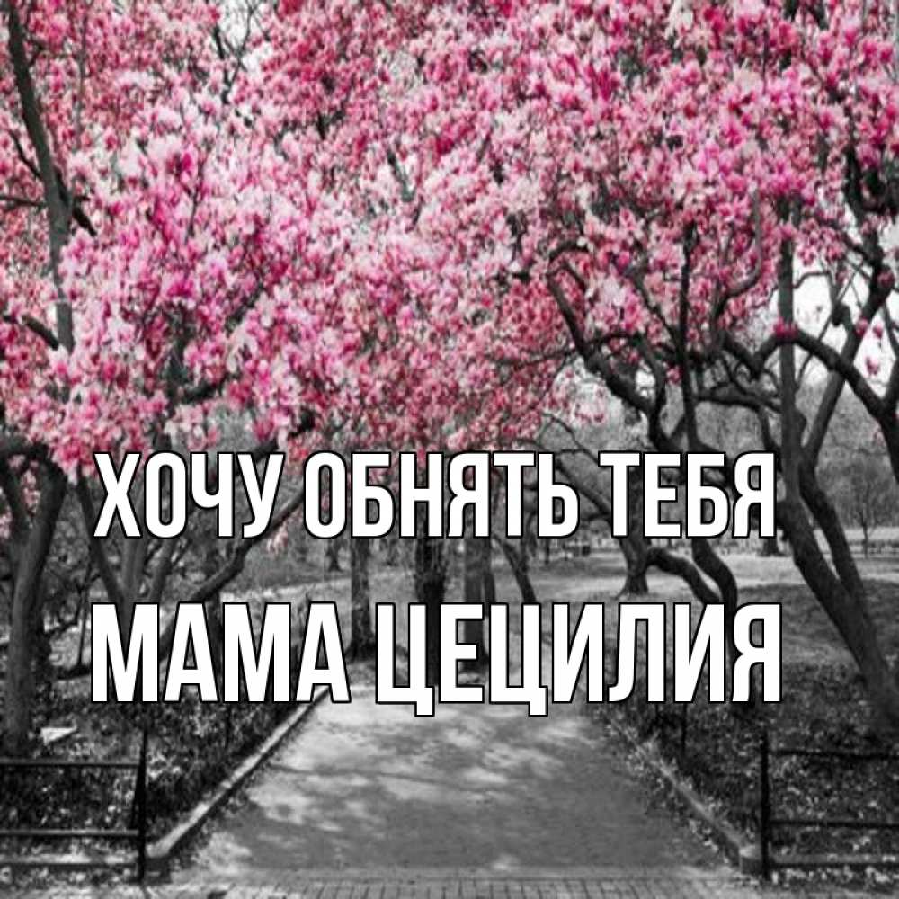 Открытка на каждый день с именем, Мама-Цецилия Хочу обнять тебя обработанное фото Прикольная открытка с пожеланием онлайн скачать бесплатно 